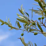 酒店 Heaven Sarandë