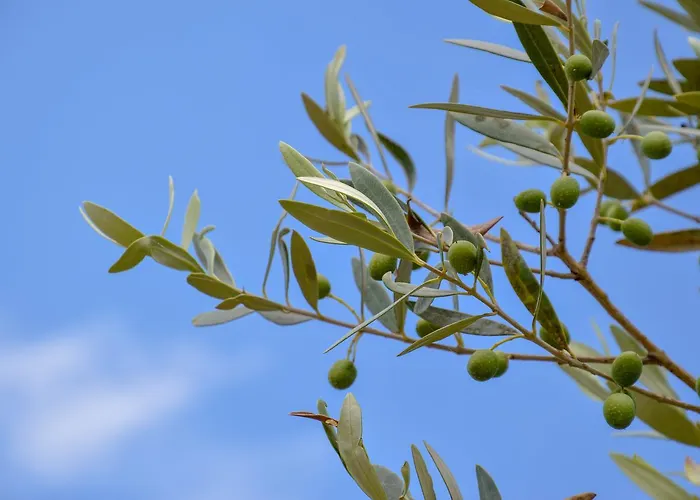 酒店 Heaven Sarandë